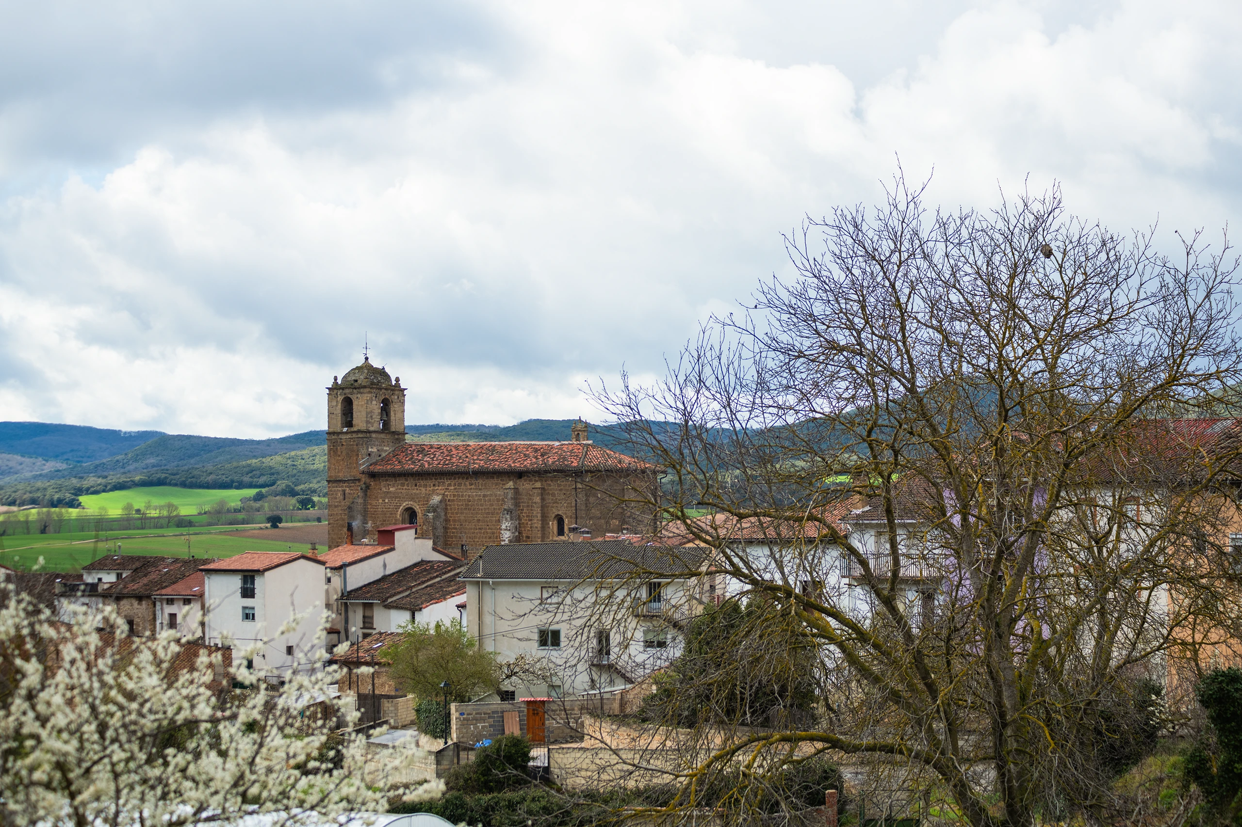 Foto de la ruta