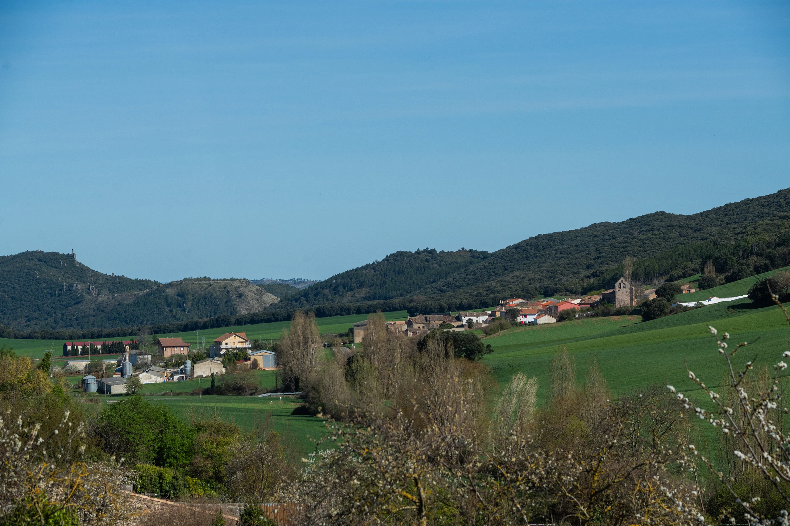 Foto de la ruta