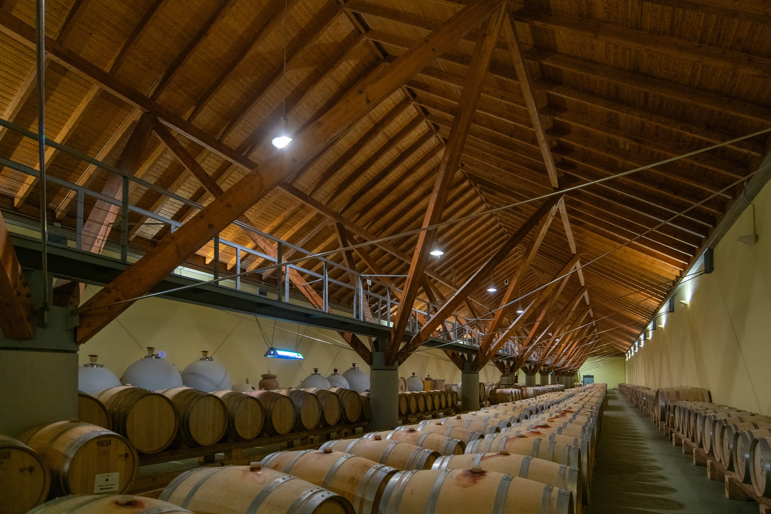 Foto 3 - Bodega Ar&iacute;nzano