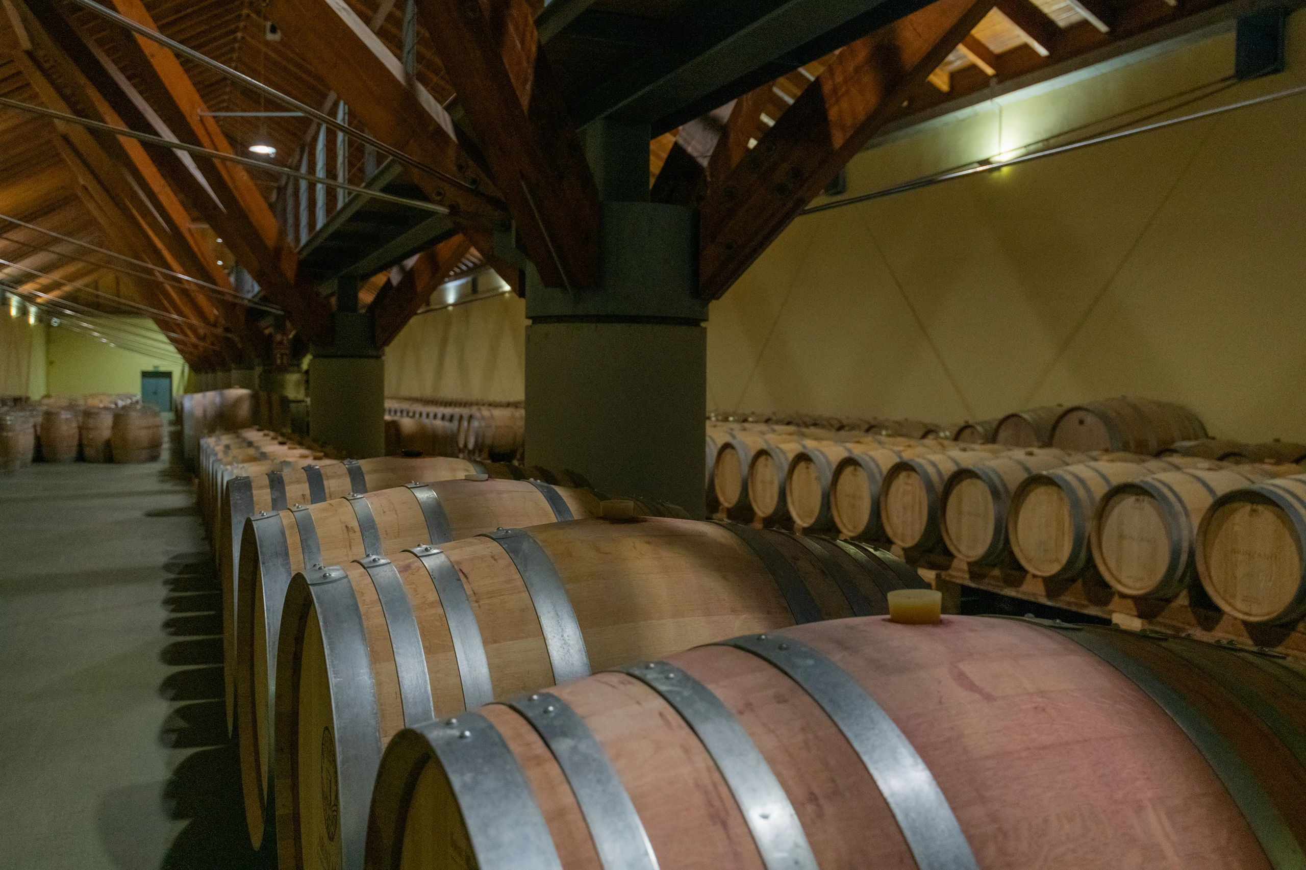 Foto 4 - Bodega Ar&iacute;nzano