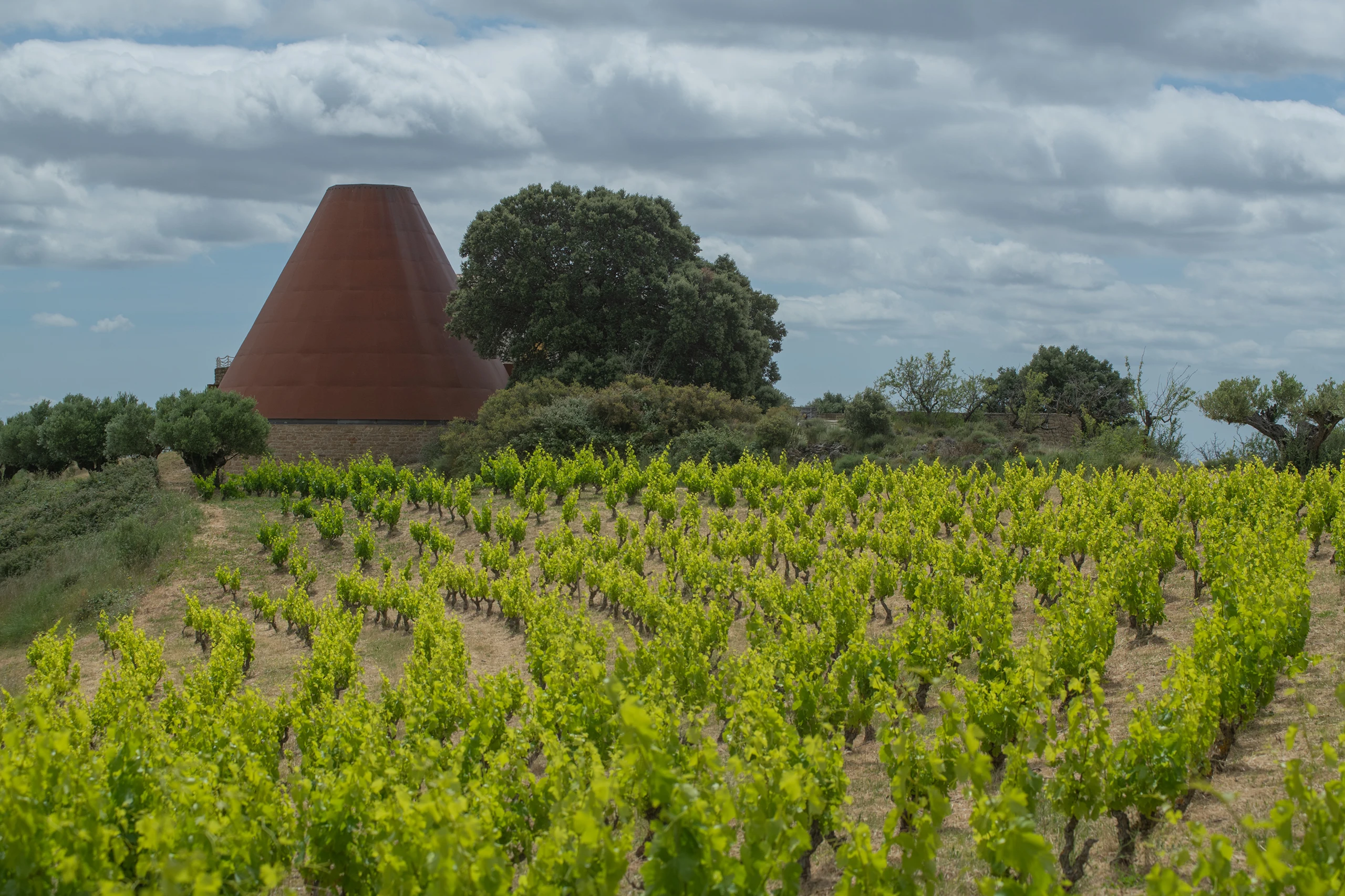 Foto 1 - Bodegas Emilio Valerio