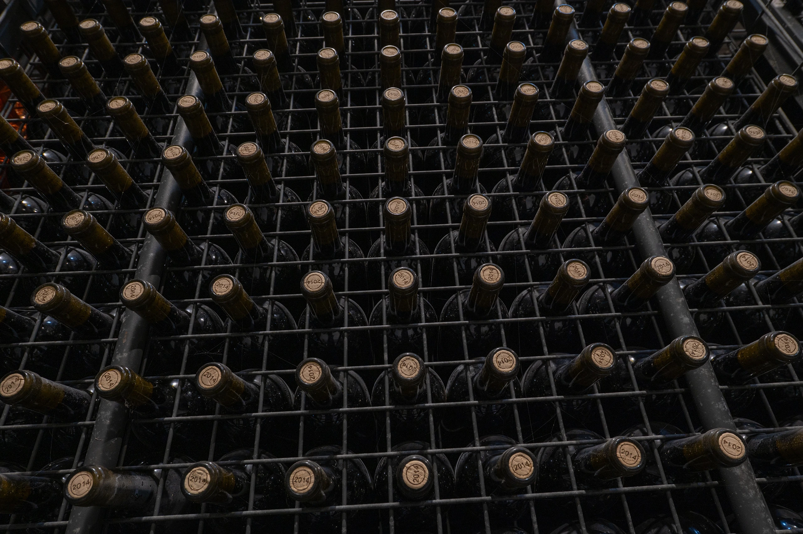 Foto 2 - Bodegas Pago de Larrainzar