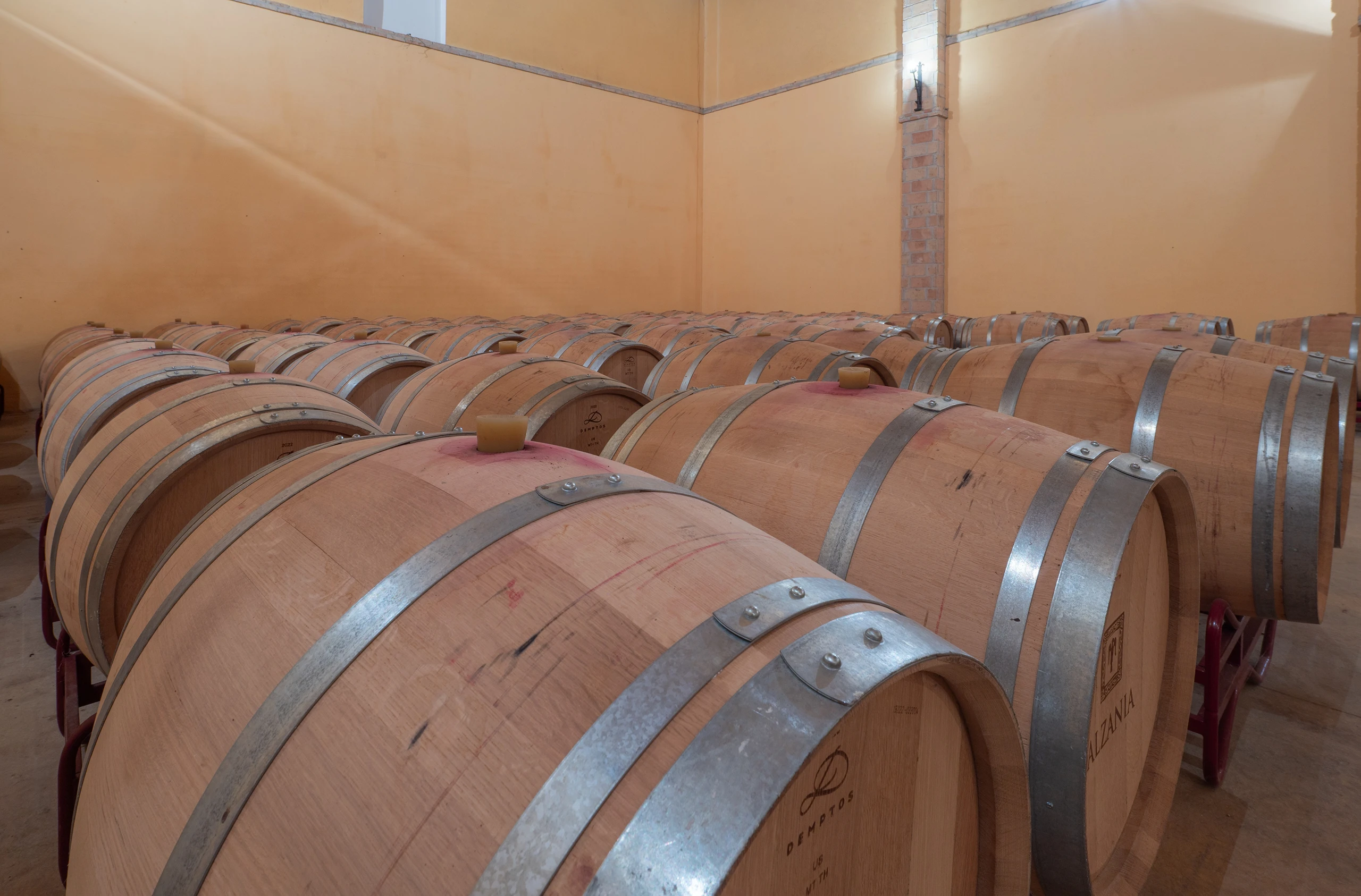 Foto 8 - Bodegas y Vi&ntilde;edos Alzania
