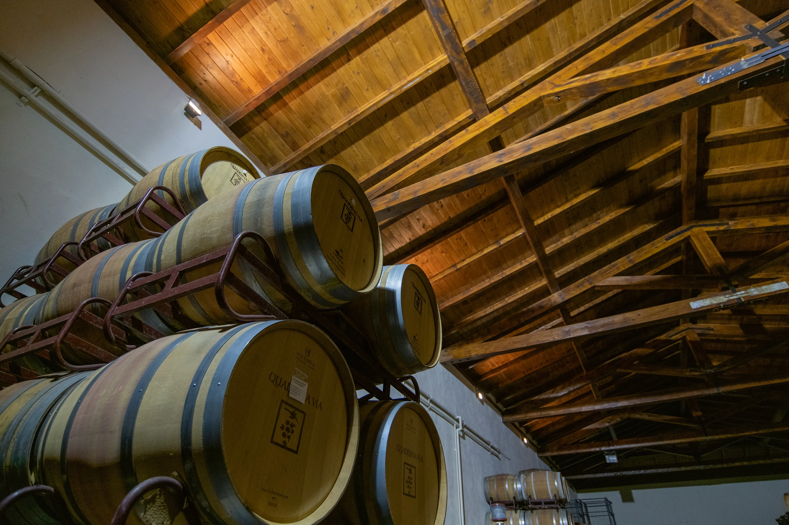 Foto 9 - Bodegas y Vi&ntilde;edos Quaderna V&iacute;a