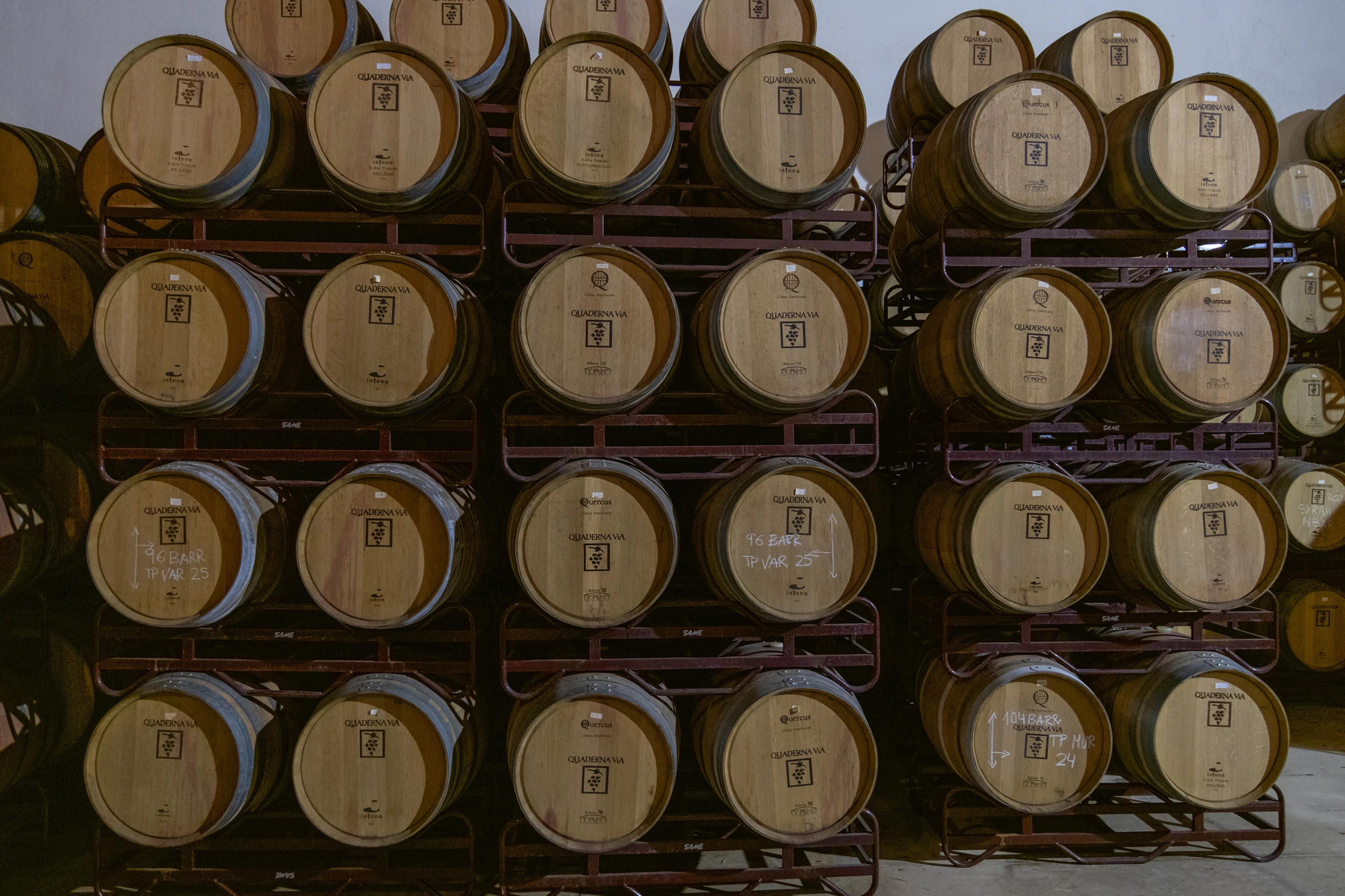 Foto 5 - Bodegas y Vi&ntilde;edos Quaderna V&iacute;a