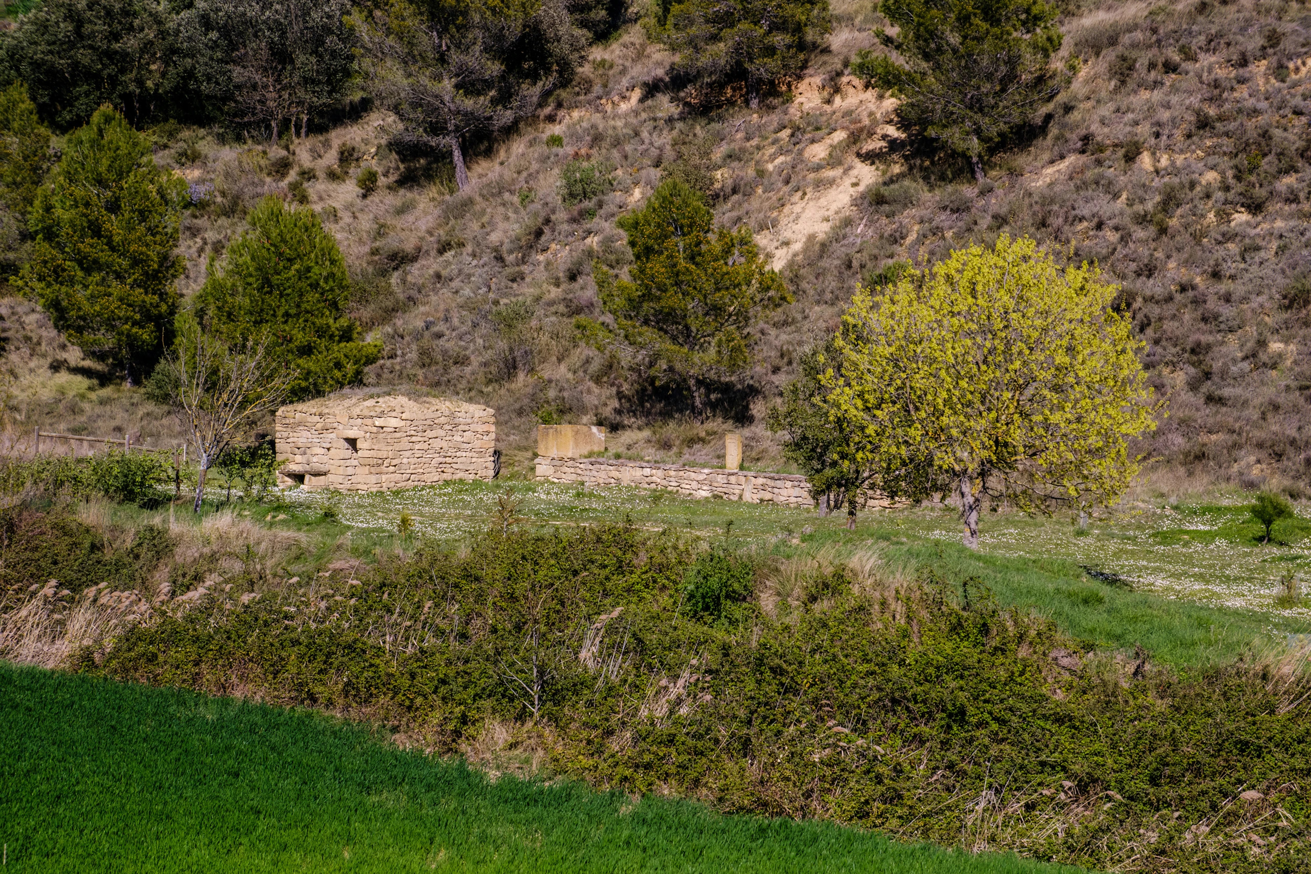 Refugios del trabajo agr&iacute;cola