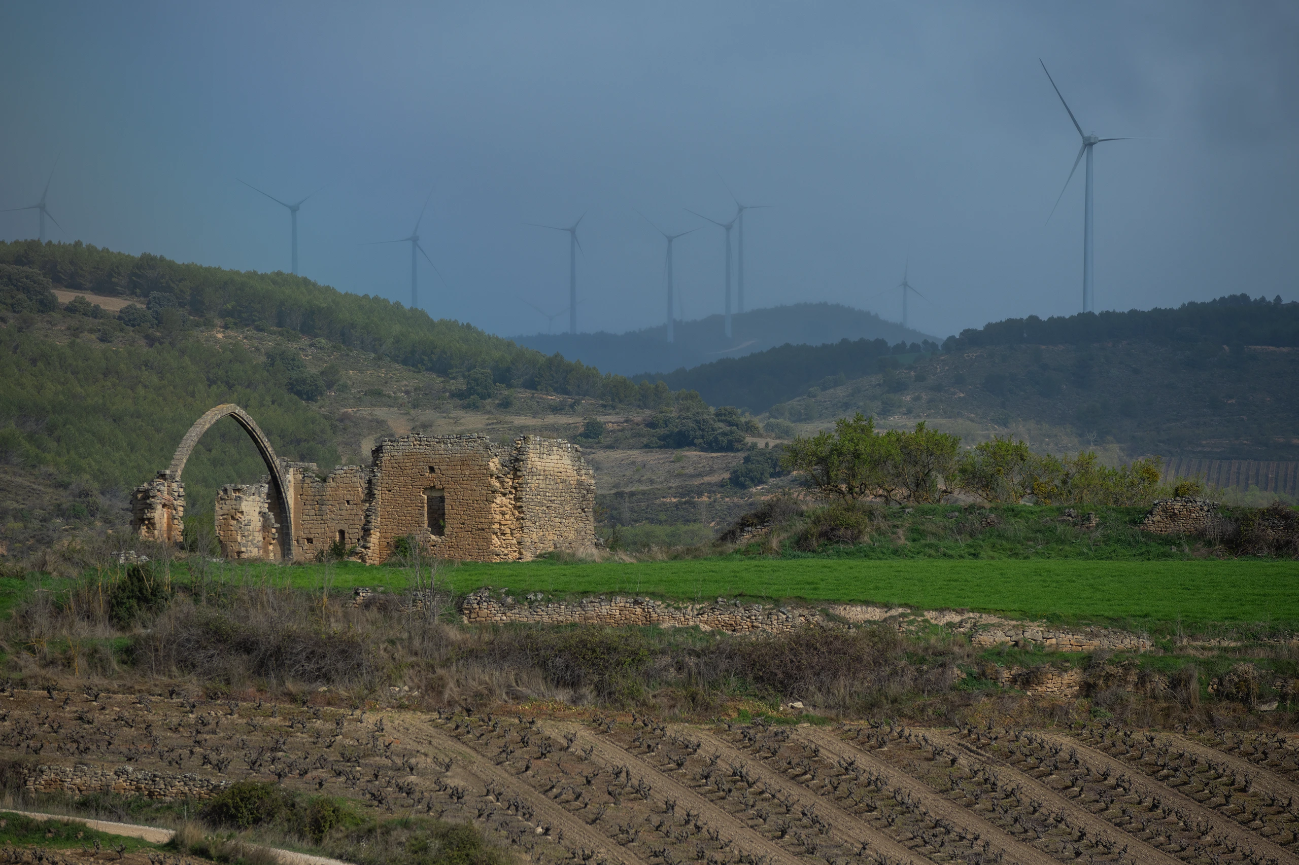 Foto 8 - Convento de San Juan del Ramo