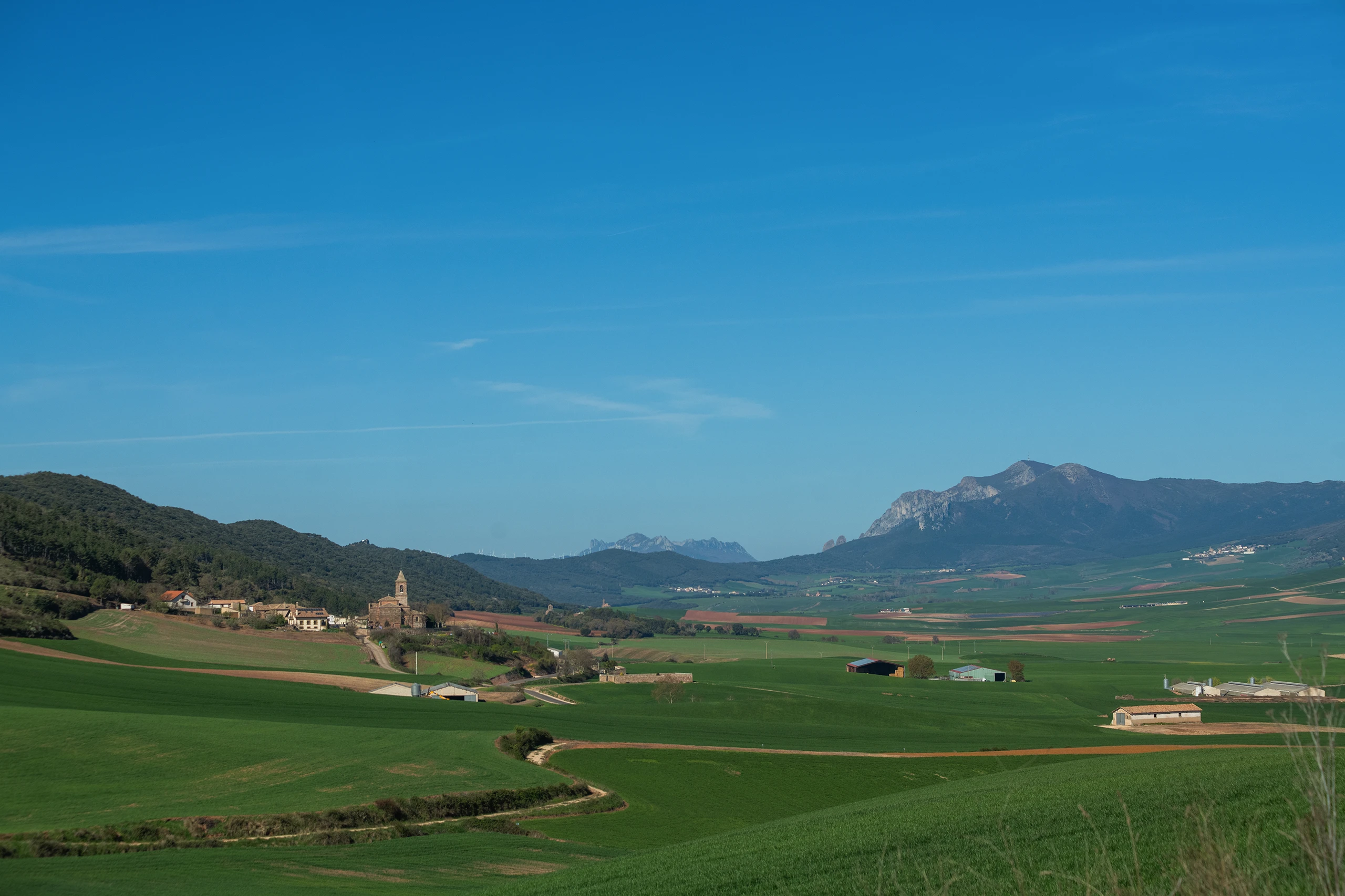 Etayo