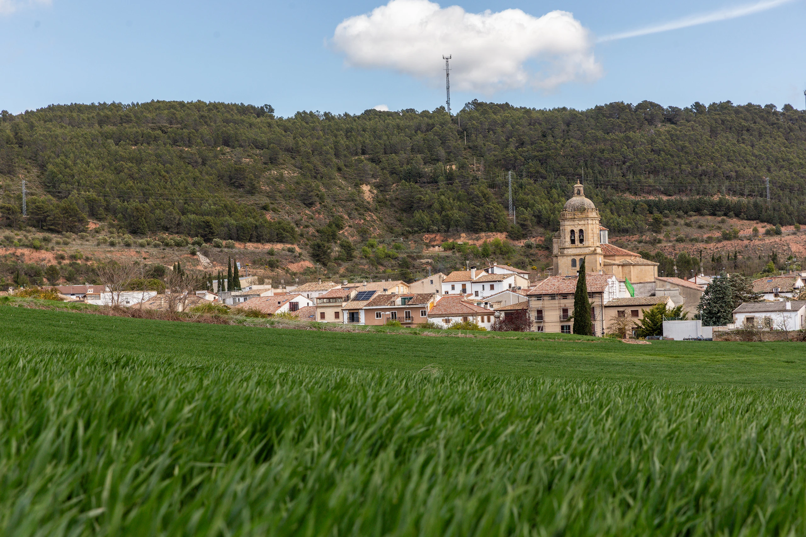 Arquitectura civil blasonada