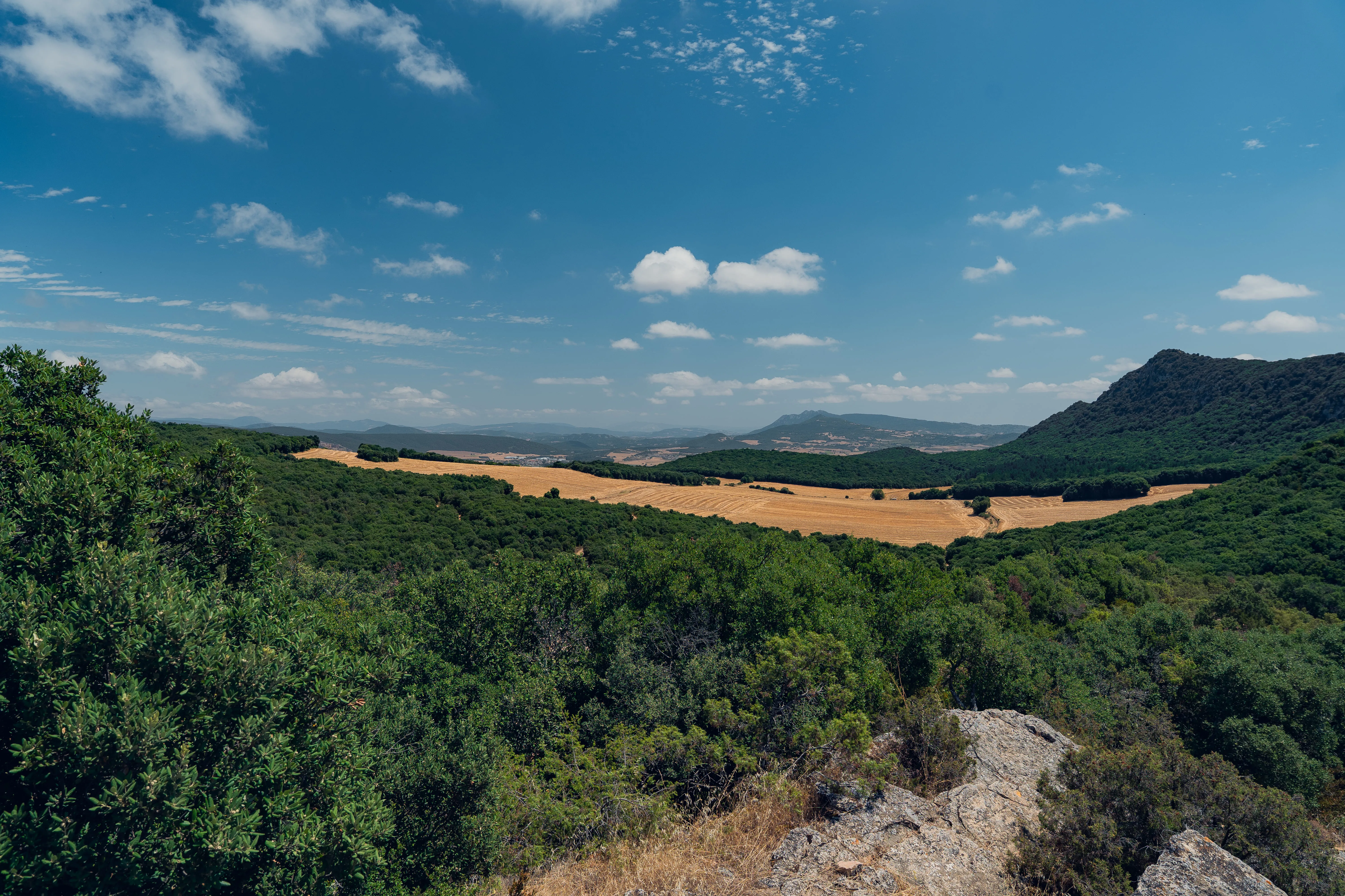 Foto de la ruta